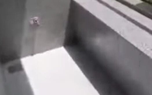 عقار للإيجار الشهري في جرمانا